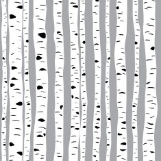 Birches in vector N7