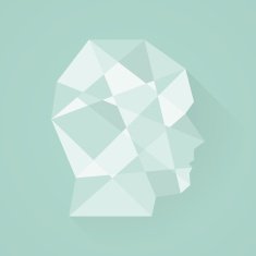 Male head icon Low poly style Flat design N2