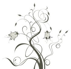 Flower N148