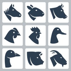 Vector domesticated animals icons set