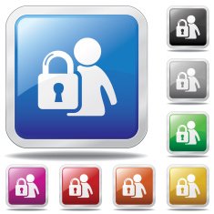 Secure Login Icon