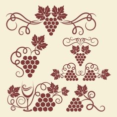 grape vine elements