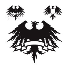Black Eagle N6