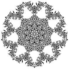 Floral Lace N38