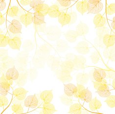 Autumn frames