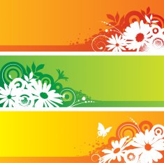 Flower Frames N13
