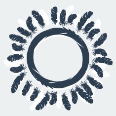 Design background with hand drawn bird feathers