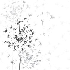 Dandelions Hand-drawn floral background