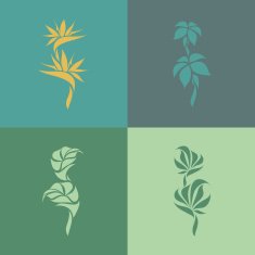 Tropical plants Set of design elements