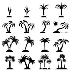 Tropical Tree Collection black & white vector icon set