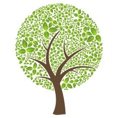 Isolated abstract leaf spring time tree