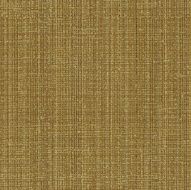 Canvas texture pattern