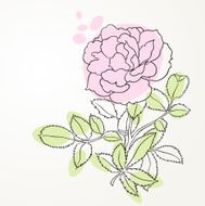 Rose line art N4