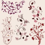 set of plant patterns N5
