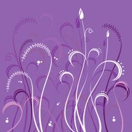 flower in color background