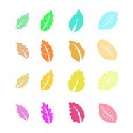 Set of Flat Colorful Leaves Vector