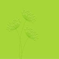 Vector floral background N99