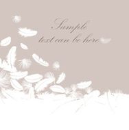 Feather decorative wallpaper