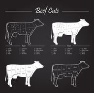 Cow beef meat cuts scheme on chalkboard