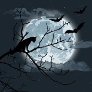 Halloween Night N93