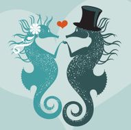 Seahorses getting married