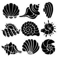 Sea shells icon set isolated on a white background