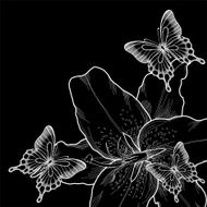 beautiful background with lilies and butterflies