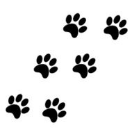 Paw Prints N15