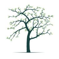 Springtime tree N3