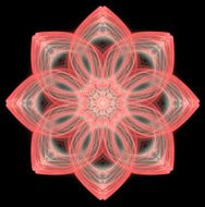 Flower N151