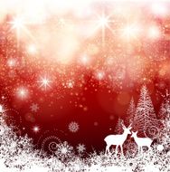 christmas nature