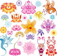 Colored flowers set