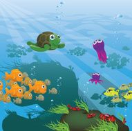 Life Aquatic - Reef Illustration