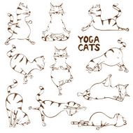 Funny sketch cat doing yoga position