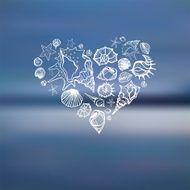 Heart of Sea shells Summer holidays N2