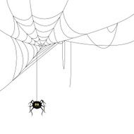 Vector Web