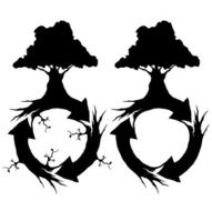 tree cycle