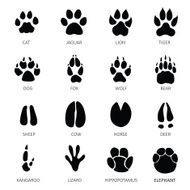 Animals footprints N3