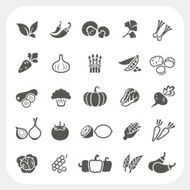 Vegetable icons set N2