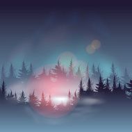 Misty coniferous forests