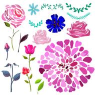 Hand painted floral watercolor set flowers and leaves N5