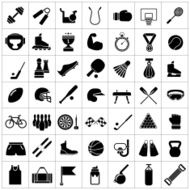 Set icons of sports and fitness equipment N2