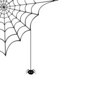 Spider web and spider Vector illustration