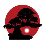 silhouette of a bonsai on red sun background