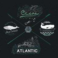 Set of vintage nautical emblems logos design elements