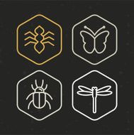 Vector insect icons in line style