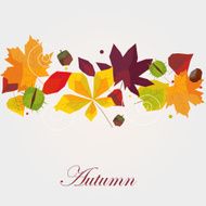 Autumn background with colorful leaves