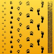 Grunge Animal Track Evolution