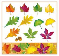 Fall and Summer Leaves