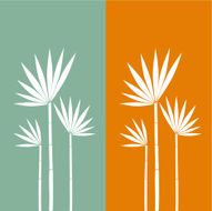 Exotic flower family N2